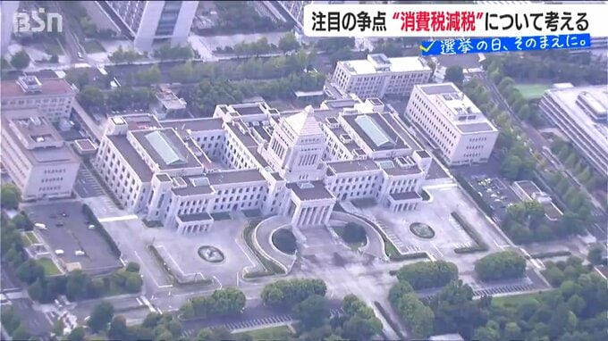 サムネイル_「今の暮らしの負担軽減か、それとも将来の安心か」各党が打ち出す消費税ゼロ　メリット・デメリットは？