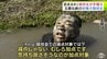 生徒260人が参加　恒例の「全校田植え競技会」　序盤は丁寧に植えていくも…　最後はみんなで泥だらけに「むしろ加点です！気持ち良さそうなのが加点対象！」　昔ながらの手植えで思い出作り　五所川原農林高校　|　青森のニュース│ATV NEWS│青森テレビ