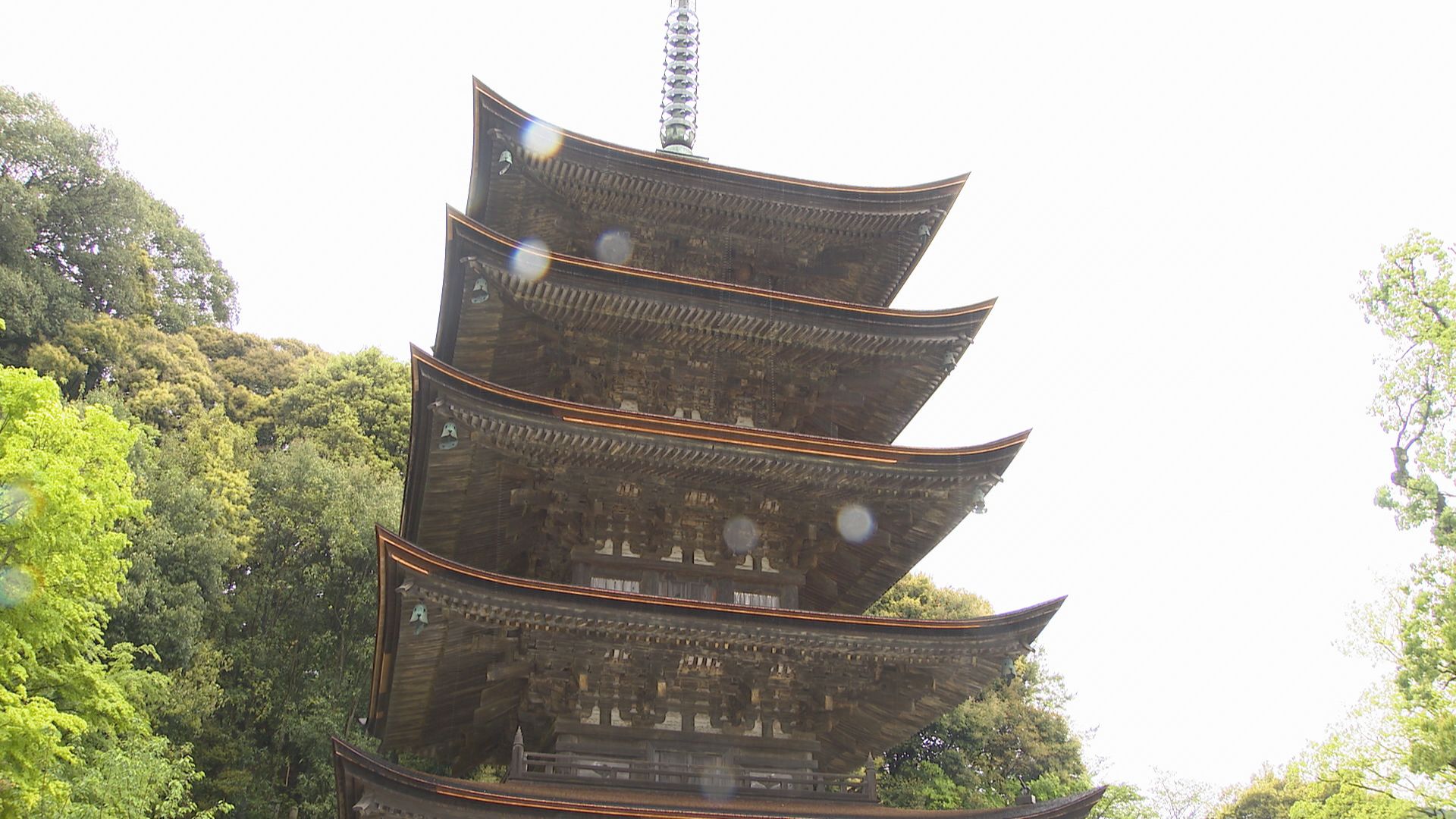 改装SP記念‼️✨お寺✨桜咲く✨瑠璃光寺✨五重の塔✨SPハイグレード仕上げ 五重塔「大改修」の軌跡 瑠璃光寺、優美な姿再び 山口 | 中国新聞デジタル