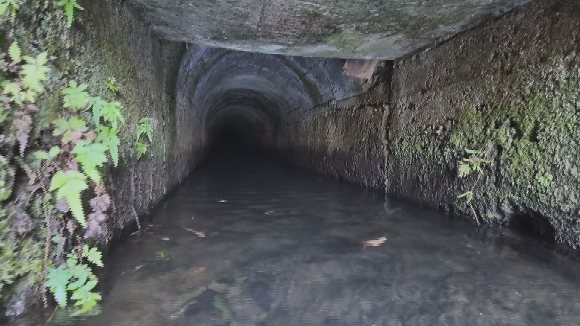 江戸時代1689年に完成！今も使われる用水路「地元の誇りみたいな感じ