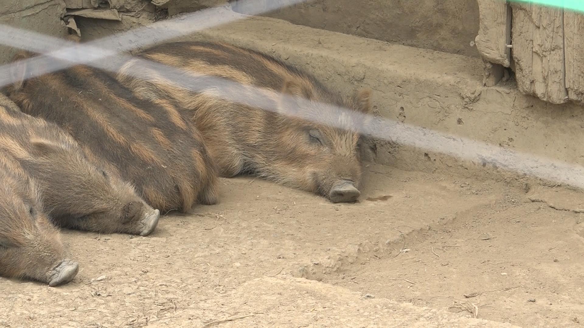 img_954d49d245e862cb0959750522