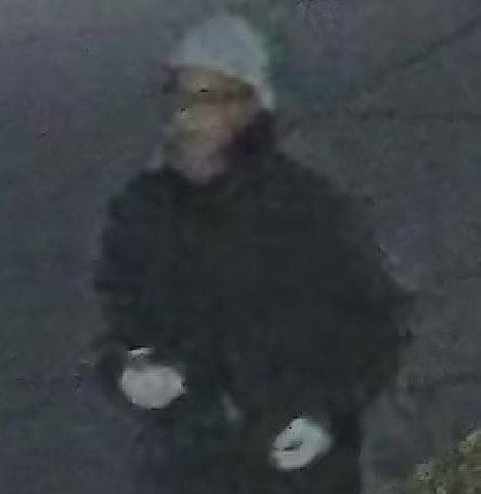 stanley b. burns DEADLY INTENT犯罪死体 Amazon | Deadly Intent