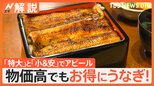 土用の丑の日 20代は4割弱が「食べない」物価高でもお得に冷凍食品や回転すしでうなぎを【Nスタ解説】|TBS NEWS DIG