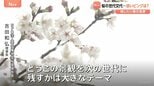 進む桜の「老木化」 世代交代の必要性と戸惑いの声 淡いピンク「ソメイヨシノ」を未来に残すために…検討重ねる現場の苦悩も|TBS NEWS DIG