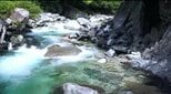 「水面は一見穏やかに見えても…」涼を求めて長野・大桑村「阿寺ブルー」清流・阿寺渓谷…水遊びには注意必要「水中では温度が低く、水流が強いところも…」ライフジャケット着用呼びかけ|TBS NEWS DIG