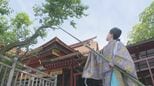 太宰府天満宮で飛梅ちぎり神事　収穫した梅はこの10年で最少の「8個」少雨や改修工事影響か　福岡|TBS NEWS DIG