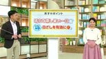 高知の天気　22日　日差しの届く時間も　山岸拓気象予報士が解説|TBS NEWS DIG