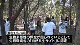 環境省の自然共生サイトに認定「綾町イオンの森」 里山保全のための枝打ちなどの育樹活動|TBS NEWS DIG