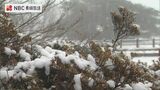 寒気到来　長崎市で初雪　佐世保市の山間部では積雪も　長崎県内５地点で今シーズン最低気温　　　|　長崎のニュース | 天気 | NBC長崎放送