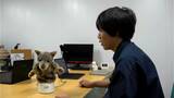 「おやっとさ～」鹿児島弁でおしゃべりAIロボ完成　|　鹿児島のニュース｜MBC NEWS｜南日本放送