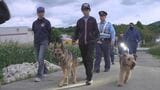 収穫期迎える特産のトウモロコシ 盗難防止にパトロール 不審者を見かけたら110番を 山梨・市川三郷町|TBS NEWS DIG