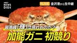 【LIVE 11/9 19:00～】石川県産ズワイガニ「加能ガニ」初競り 最高峰「輝」は現れるのか? 金沢港から生中継　|　石川県のニュース｜MRO北陸放送