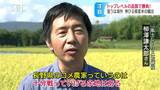日本食ブームに乗れ!国内需要減り続けるコメ…狙うは「海外」高品質武器に台湾を最大のターゲットに…若手農家の「超」戦略 | SBC NEWS | 長野のニュース | SBC信越放送