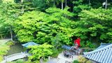 境内包み込む新緑がまばゆい 厄除け観音とお団子で有名な寺院を空から眺めてみた(静岡県) | 静岡のニュース | SBSNEWS | 静岡放送