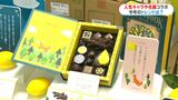 作り手の“ストーリー”添えたチョコに人気 今年のバレンタインは?「予算はカゴに入れた分だけ」 鹿児島 | 鹿児島のニュース|MBC NEWS|南日本放送