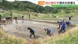 「昔の景色を取り戻す」休耕地を再生 西谷棚田で酒米田植え 福島・二本松市|TBS NEWS DIG