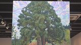 山梨にゆかりの作家たちの「木」をテーマにした絵画展 およそ80点を展示 甲府 | 山梨のニュース | UTYテレビ山梨