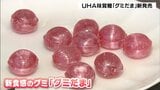 「かんだ瞬間パリッ。中からもちもち」　ＵＨＡ味覚糖が“グミだま”発売へ　空前の“グミブーム”で奈良県内の工場に新施設を設置し生産拡大へ|TBS NEWS DIG
