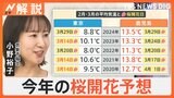 週末は3月下旬の暖かさもふたたび寒気襲来　“最強寒波”は桜の開花に影響も【Nスタ解説】|TBS NEWS DIG