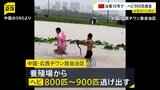 800~900匹のヘビが養殖場から逃げ出す コブラにかまれた女性死亡 中国・広西チワン族自治区で台風10号の豪雨による洪水発生|TBS NEWS DIG
