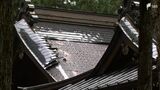 “罰当たりな犯行”神社の屋根がごっそり剥がされ盗まれる 高騰する“銅”を狙った犯行か=静岡・小山町 | 静岡のニュース | SBSNEWS | 静岡放送
