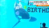 県外から追悼に訪れる人も… 名古屋港水族館の人気者 国内唯一のオスのシャチ「アース」死ぬ | 名古屋・愛知・岐阜・三重のニュース【CBC news】 | CBC web