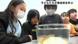 アオリイカの産卵確認 子どもたちが環境保全について学ぶ 「大事にちゃんと育てていきたい」【高知】 | 高知のニュース・天気|KUTV NEWS | KUTVテレビ高知