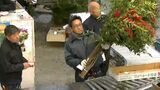 「苦しい状態だが来年はいい年に」市場では威勢よく正月用の花などの競り(高知) | 高知のニュース・天気|KUTV NEWS | KUTVテレビ高知