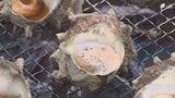 「磯の香りがして海に来たなって感じがします」朝獲れた新鮮な魚介や特製の干物などを販売する人気イベント「網代日曜市」開催=静岡・熱海市 | 静岡のニュース | SBSNEWS | 静岡放送