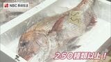 水揚げは去年の3分の1も高値で取引「日本一の魚種」長崎魚市で初競り | 長崎のニュース | 天気 | NBC長崎放送
