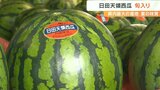 「日田天領西瓜」が旬入り宣言 生産者は手ごたえ “コクのある甘みと独特の食感”が特徴 大分 | 大分のニュース|OBS NEWS|大分放送