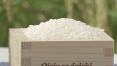 「よりきめ細やかなコメの価格動向がわかる」小売店の業態別価格などまとめた調査データを新たに活用 コメ価格をより詳細に把握へ　農水省| TBS CROSS DIG with Bloomberg