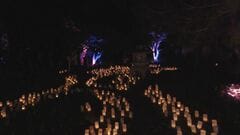 豪・キャンベラの平和公園で「キャンドル・フェスティバル」開催　奈良市との友好30周年| TBS CROSS DIG with Bloomberg