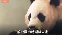 4頭のパンダが今後暮らす「成都ジャイアントパンダ繁殖研究基地」高さ約70メートルの「タケノコタワー」も　和歌山・アドベンチャーワールドのパンダあす（28日）返還| TBS CROSS DIG with Bloomberg