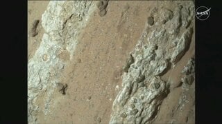 火星に生命がいた兆候? NASA発見の岩に生命の痕跡の可能性| TBS CROSS DIG with Bloomberg