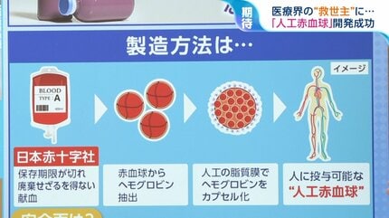 人工赤血球』なぜ紫色？血液型問わず輸血でき5年保存も…開発者が解説