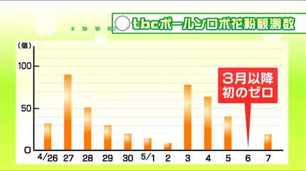 6月まで飛ぶ花粉」とは？アレルギーの恐れは少ないものの汚れが目立つ