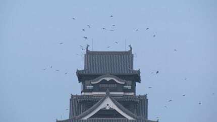 カラスヤマさまおまとめ19点★9800 カラスヤマさまおまとめ19点☆9800 カラスヤマさまおまとめ19点☆9800