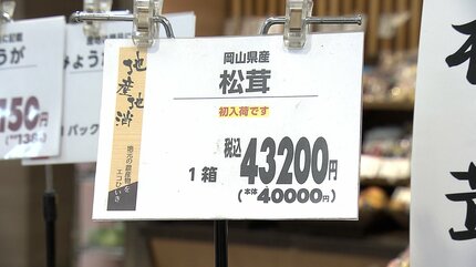 岡山県産の松茸「価格は1本約60グラムで4万3200円」デパートに初入荷 岡山県産の松茸「価格は1本約60グラムで4万3200円」デパートに初入荷