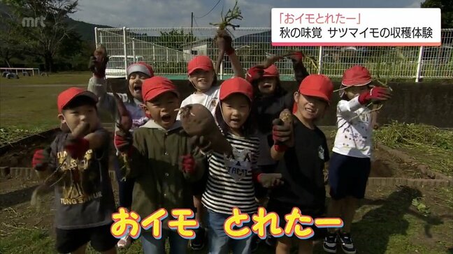 日南市の小学校で児童が自分たちで育てたサツマイモの収穫体験|TBS NEWS DIG