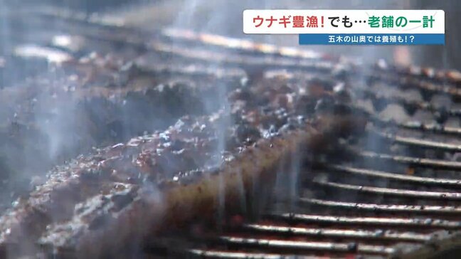 【最新ウナギ事情】豊漁なのに…物価高で価格据え置きの台所事情　熊本・五木村の清流で始まった"山奥の養殖"|TBS NEWS DIG