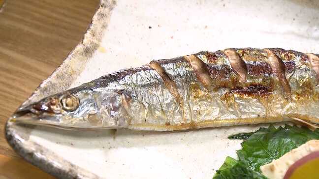 「サンマは脂がのって大ぶり」秋の味覚　今年の出来は？タイ・ブリも今が旬　キャベツ・キノコはこれからお得に|TBS NEWS DIG
