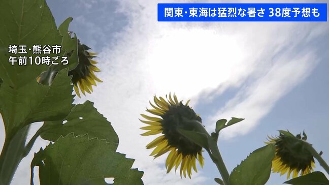 関東地方などで猛烈な暑さ40℃に迫る地域も 東京は3日連続の猛暑日の見込み|TBS NEWS DIG