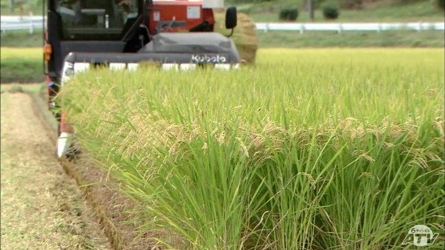 7月・8月の『猛暑』で青森県内の稲刈り早いペースで進む 進ちょく率は26%と過去10年で2番目の早さに 刈り遅れによる品質低下を防ぐため県が速やかな刈取りを呼びかけ|TBS NEWS DIG