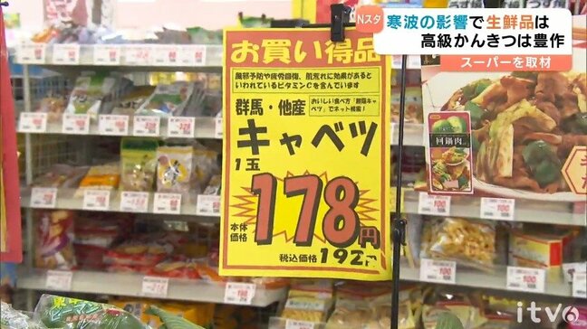 「どんどん何もかも上がる」寒波でキャベツ高騰も…高級品種の柑橘『甘平』は豊作で詰め放題サービスも 愛媛県|TBS NEWS DIG