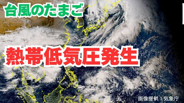 【台風情報】11月ですが…「熱帯低気圧」(台風のたまご)が発生 今後「台風」に発達する見込み 今後の進路は?全国各地の16日間天気シミレーション【気象庁 11月1日正午発表】 |TBS NEWS DIG