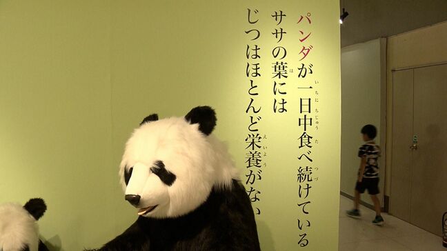 「ほお袋にためた食べ物が腐って病気になる動物とは」ざんねんないきものたちの生態を紹介するイベントが大人気【岡山】|TBS NEWS DIG