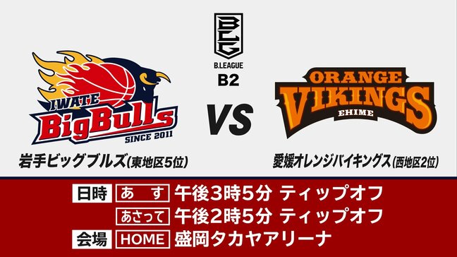 週末に行われる岩手県関連のスポーツ ビッグブルズは?シーウェイブスは?|TBS NEWS DIG