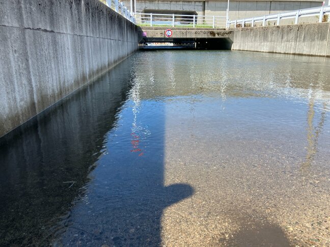 大雨被害 アンダーパスで車ごと水没…80代女性を救助 意識戻る　富山・高岡市|TBS NEWS DIG
