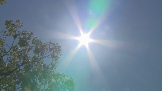 13歳男性が「部活後帰宅し吐き気と頭痛」90歳男性が「農作業後、自転車で移動中力が入らなくなった」など山陰両県で11人が熱中症の疑い|TBS NEWS DIG